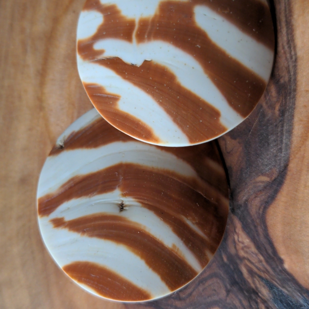 Retro shell earrings - Picture 2 of 2